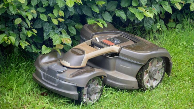 Aktion: Warum der Rasenmäher im Mai im Schuppen bleiben soll Auch ein Mähroboter sollte bei der Aktion „mähfreier Mai“ nicht eingesetzt werden. (Archivbild)