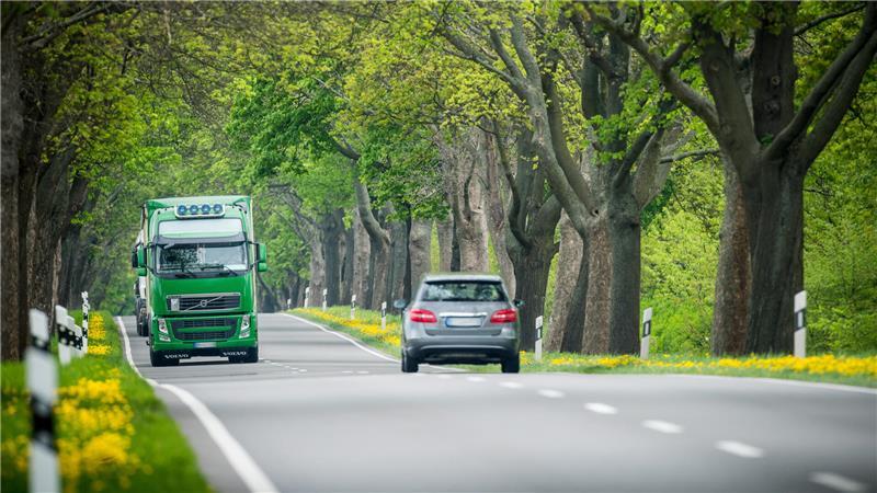 Auch im Landkreis Stade ein bekanntes Bild: Lkw, hinter denen sich Autoschlangen bilden.