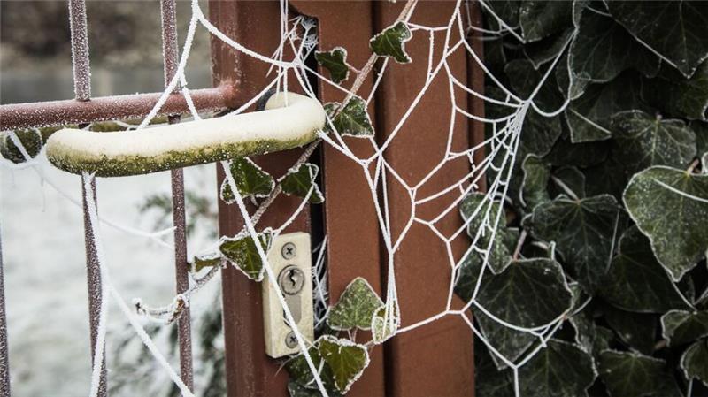 Was Sie im Winter für den Garten tun können Auch im Winter gibt es genug zu tun, um den Garten in Schuss zu halten und sich auf die nächste Gartensaison vorzubereiten.