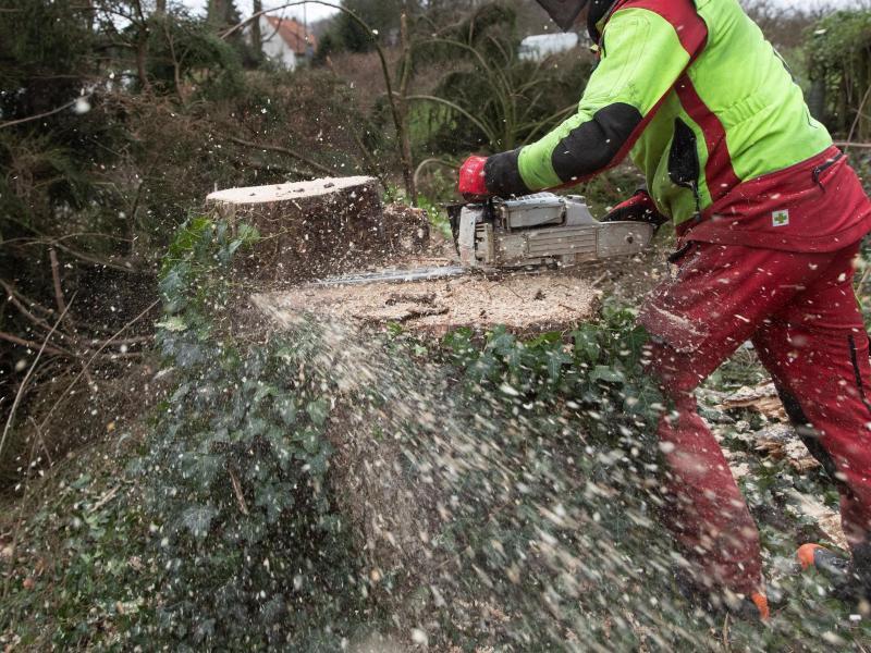 Auch in Bielefeld laufen Aufräumarbeiten. Foto: Friso Gentsch/dpa