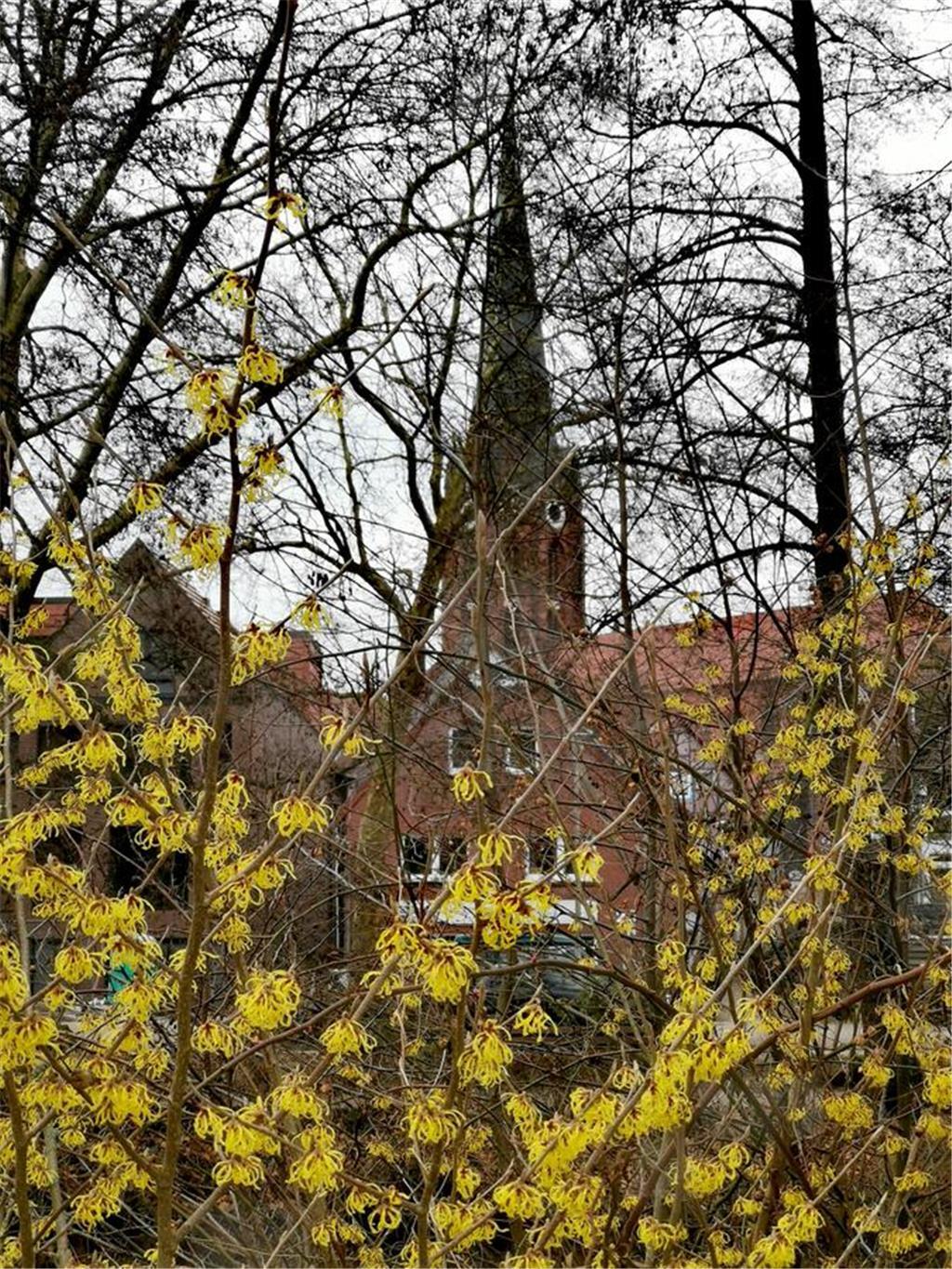 Auch in Buxtehude hält der Frühling Einzug.