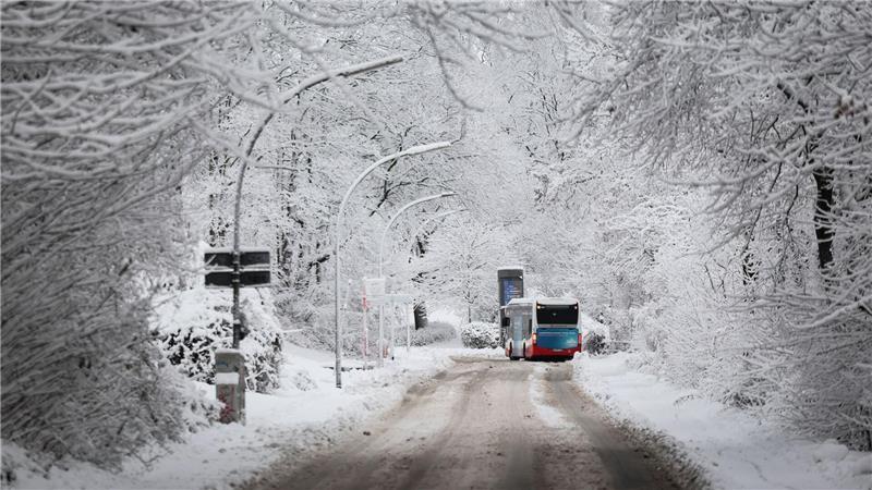 Winter hält Hamburg und Schleswig-Holstein fest im Griff Auch in der kommenden Woche bleibt es winterlich in Hamburg und Schleswig-Holstein.