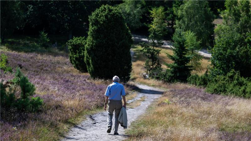 Urlaubsregionen trotz verhaltenem Start mit Sommer zufrieden Auch mit weniger Tagesgästen war die Lüneburger Heide mit dem Sommer zufrieden. (Archivbild)