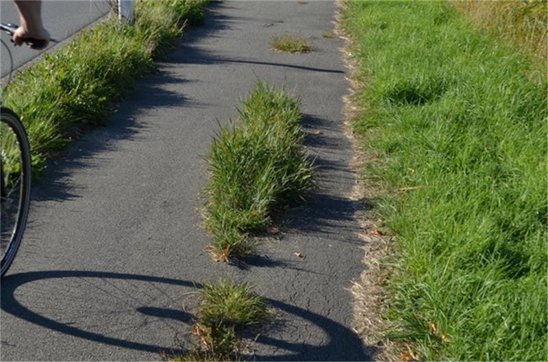 Auch so sehen Fahrradwege im Alten Land aus. Foto: Bürgerverein Jork