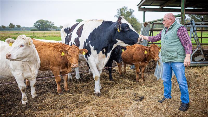 Auch streicheln lässt sich Hugo gern.