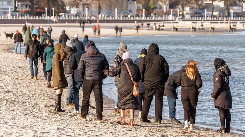 Ein Delfin begeistert die Massen an der Küste Auch über die Weihnachtsfeiertage zeigte sich der Delfin „Delle“ in Travemünde am Ostseestrand.