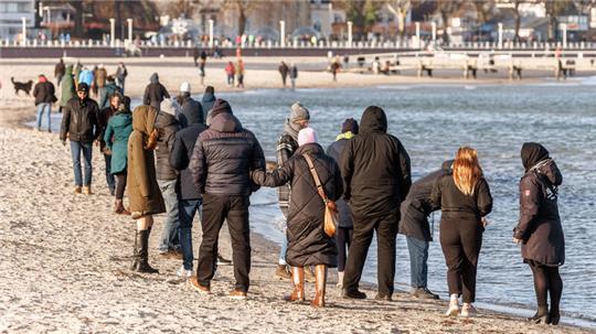 Auch über die Weihnachtsfeiertage zeigte sich der Delfin „Delle“ in Travemünde am Ostseestrand.