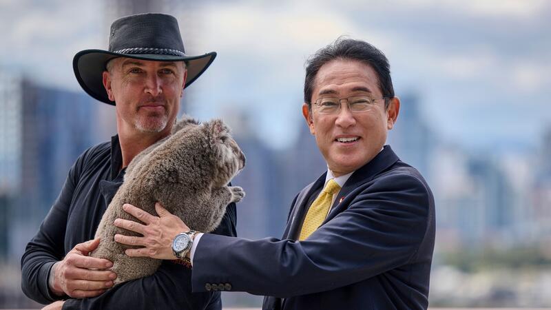 Auch viele Prominente, wie Japans Ministerpräsident Fumio Kishida, haben schon mit Koalas gekuschelt. (Archivbild)