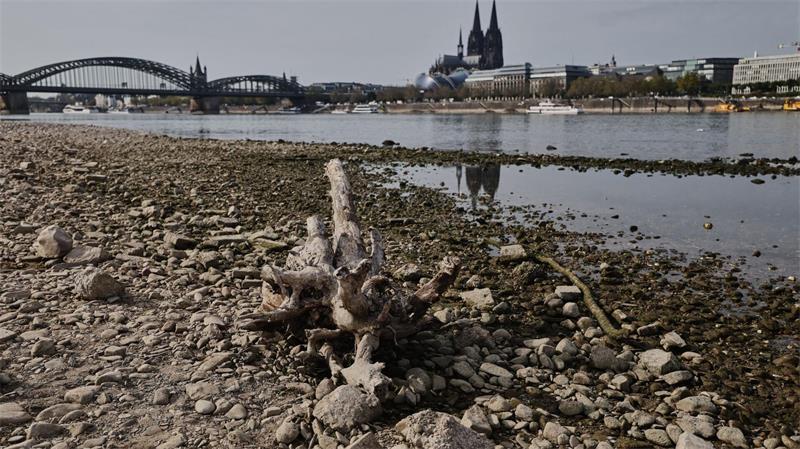 Auch viele deutsche Flüsse hatten sehr niedrige Pegelstände. (Symbolbild) 