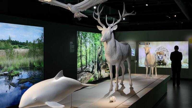 Auf 2.200 Quadratmetern möchte die Deutsche Wildtier Stiftung die Besucher der „Botschaft der Wildtiere“ animieren, die Natur zu entdecken und zu verstehen.