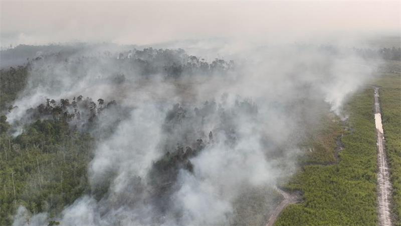 Junger Superman kämpft auf Borneo gegen Waldbrände Auf Borneo wüten seit Wochen schwere Waldbrände.