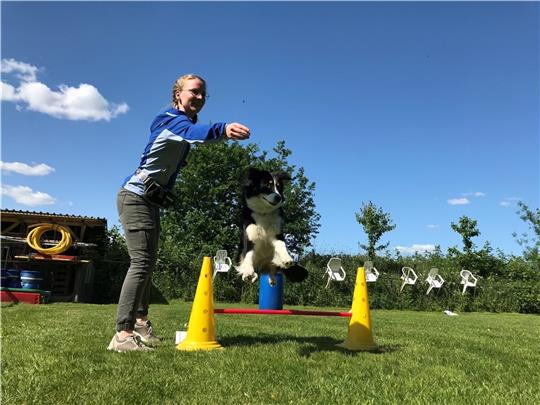 Auf Kommando von Marie-Luise Zentgraf nimmt Lotte jede Hürde bei der Prüfung zum Therapiehund auf der Trainingsanlage in Hagen. Fotos: Helfferich