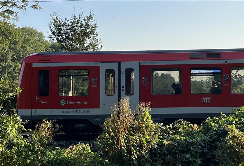 S-Bahn: Weitere Zugausfälle ab Donnerstagabend Eine S-Bahn der S-Bahn Hamburg