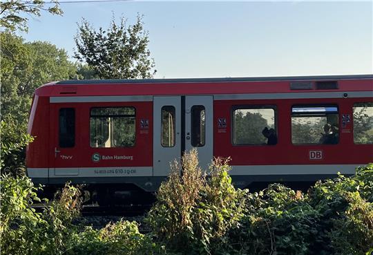 Eine S-Bahn der S-Bahn Hamburg