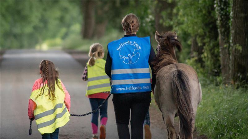Auf Spaziergängen mit dem aufgeweckten Pony Fialla können Kinder die Natur entdecken.