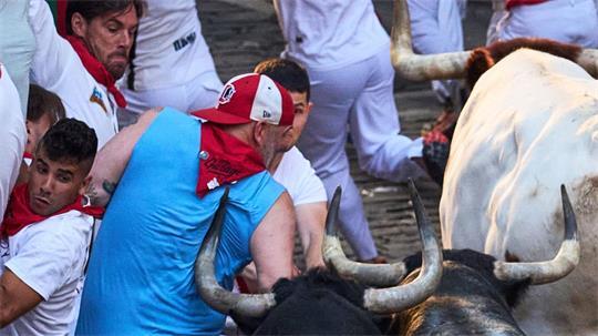 Auf Tuchfühlung mit dem Tod: Die spitzen und langen Hörner der Kampfstiere können den Läufern bei den Stierhatzen während des ebenso berühmten wie umstrittenen San-Fermín-Festes im nordspanischen Pamplona lebensgefährliche Verletzungen zufügen.