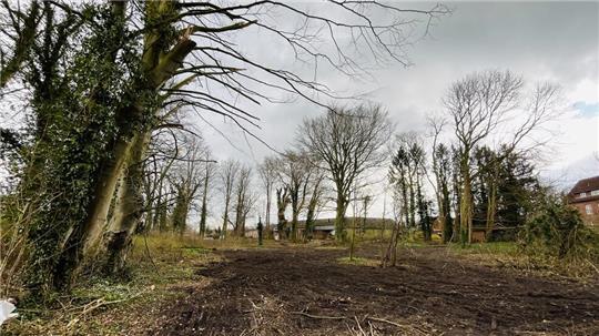 Auf dem Areal (Foto aus dem März dieses Jahres) hinter dem ehemaligen Amtshaus soll das Nahversorgungszentrum gebaut werden. In der Frage um die Rechtmäßigkeit des Bebauungsplans wird eine Entscheidung im Januar erwartet.