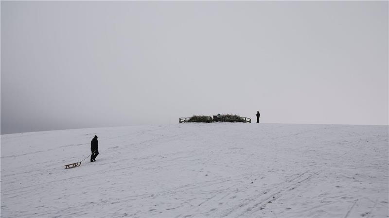 Auf dem Bungsberg sind derzeit gute Rodelbedingungen.