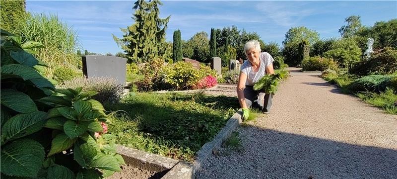 Hilferuf vom Friedhof in Estebrügge Auf dem Friedhof in Estebrügge jätet Inge Renzow (67) aus Moorende Unkraut auf Gräbern und Wegen. Sie freut sich über die Arbeit an der frischen Luft und die Bewegung. Das sei wie Meditation, sagt die aktive Rentnerin. Foto: Lohmann