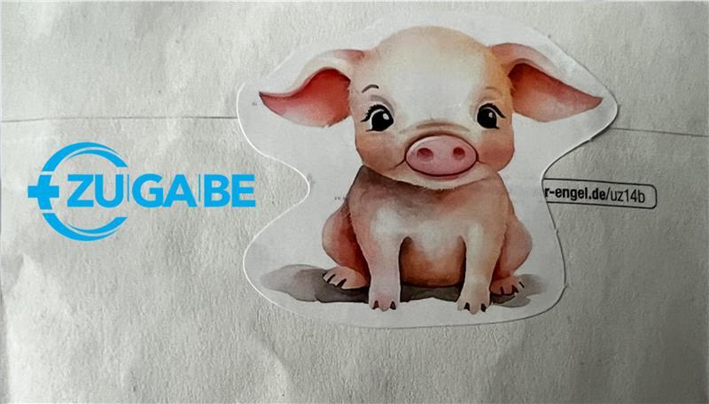 Auf dem Kuvert der Schmähschrift klebte ein niedliches Schwein.