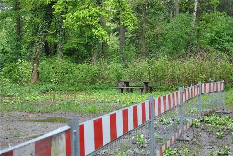 Auf dem Parkplatz im Rüstjer Forst wurden Büsche zurückgeschnitten, um Sexspiele im Wald zu erschweren. Foto: Lohmann