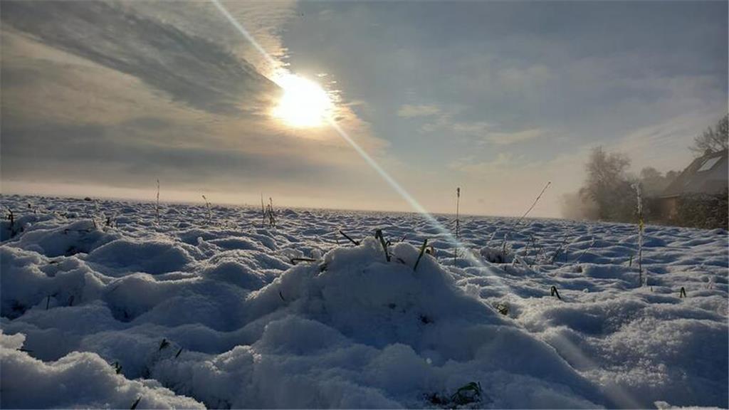 Auf dem Schneebild von Sven Adams blinzelt die Sonne durch die Wolken.