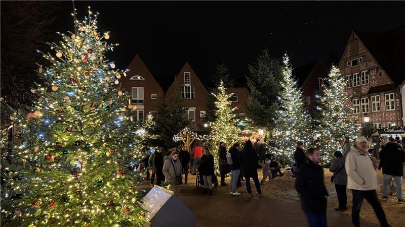 Winterwald und Öko-Klos: Der Buxtehuder Weihnachtsmarkt im TAGEBLATT-Check Auf dem St.-Petri-Platz ist der Weihnachtswald aufgebaut.