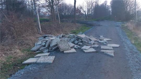 Auf dem Weg Steuen in Wischhafen wurden diese Waschbetonplatten entsorgt.
