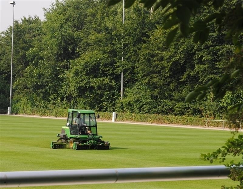 Auf dem neuen Sportplatz wächst bereits das Gras.