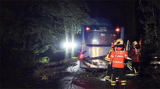 Auf den Straßen sorgten umgestürzte Bäume und abgebrochene Äste für Behinderungen. 