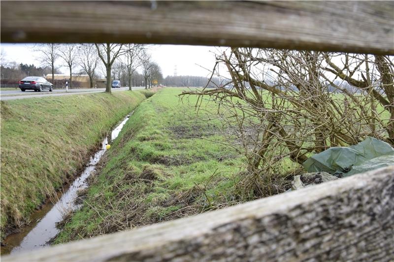 Auf den Weiden am Obstmarschenweg soll Gewerbe angesiedelt werden.