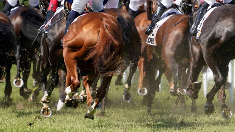 Auf der Galopp-Rennbahn in Hamburg-Horn stand der zweite Renntag auf dem Programm.