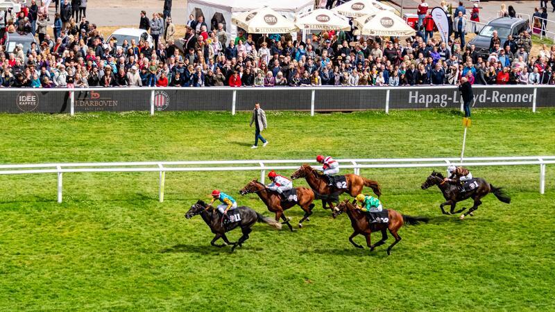 Auf der Galopprennbahn in Hamburg steigt die 155. Auflage des Deutschen Derbys.