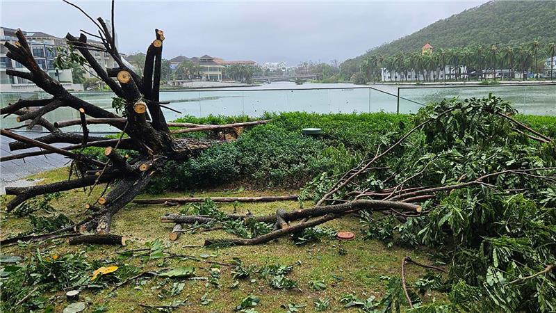 Taifun „Kajiki“ wütet in Vietnam - Schäden auf Hainan Auf der chinesischen Insel Hainan hat „Kajiki“ schon gewütet.