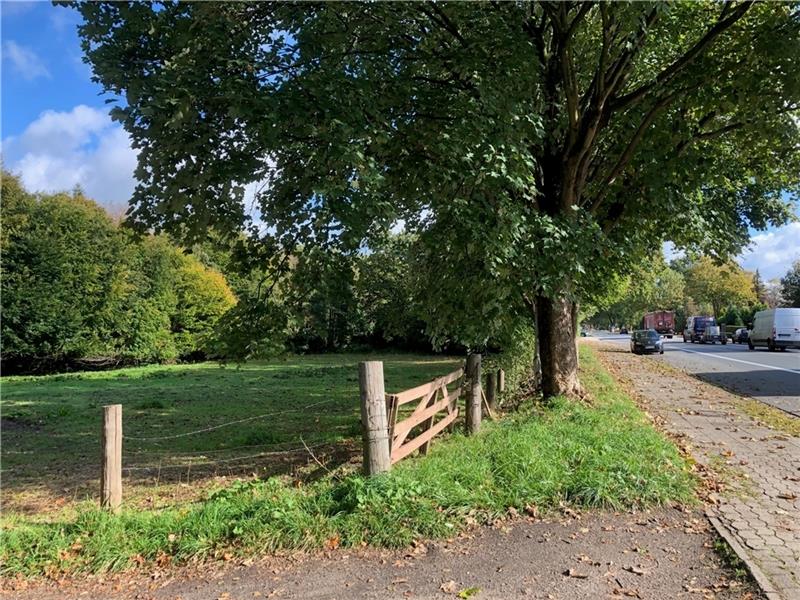 Weg frei: Mehr Wohnungen für Düdenbüttel Auf diesem Grundstück will ein Investor Mehrfamilienhäuser in Düdenbüttel bauen. Foto: Klempow