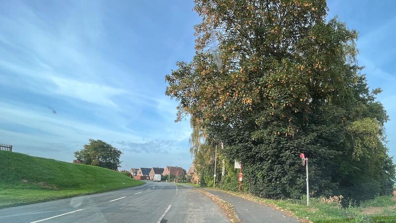 Auf diesem Grundstück wird das neue Gerätehaus in Königreich an der K39 errichtet. Die Bushaltestelle wird verlegt und an der Königreicher Straße 73 eine Bedarfsampel installiert.