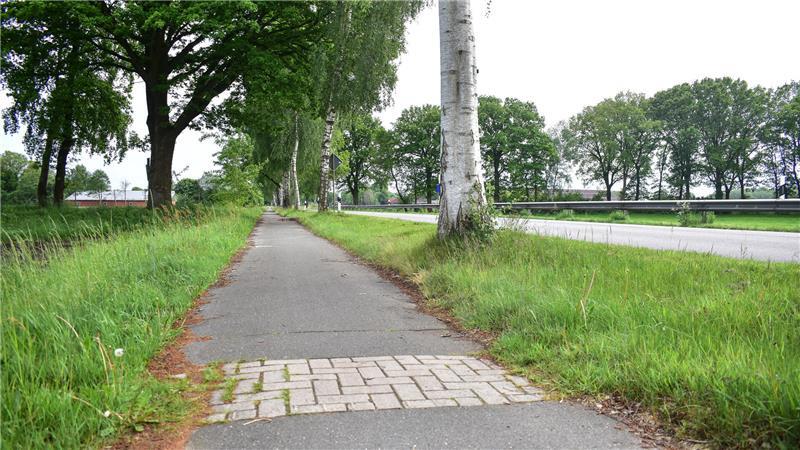 Was Fredenbecker in ihrer Samtgemeinde stört – und was ihnen gefällt Auf diesem Radweg von Schwinge in Richtung Fredenbeck gibt es viele holprige Stellen.