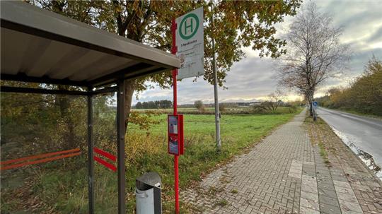 Auf dieser Fläche entlang der Straße Heitmannshausen in Neukloster ist die Ausweisung von sechs bis acht Baugrundstücken im Gespräch.