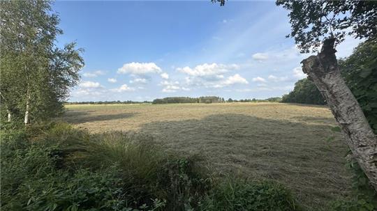 Auf dieser Fläche nördlich der Bahnlinie soll in Burweg ein Solarpark errichtet werden. Das Tannenwäldchen im Hintergrund wird möglicherweise ausgenommen.