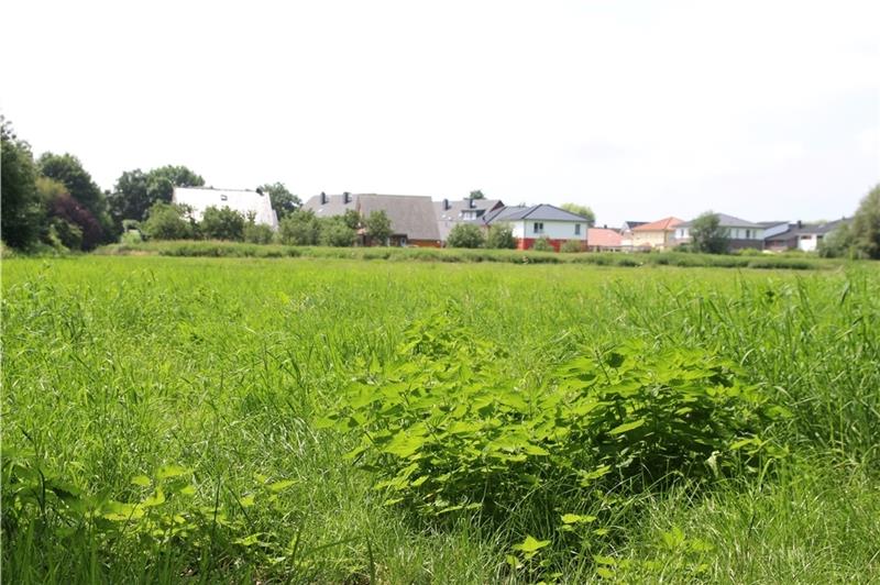 Orchideenquartier: Neue Hindernisse für Buxtehuder Modellprojekt Auf dieser Fläche zwischen der Straße Westmoor und dem Wohngebiet Königsdamm soll das neue Quartier entstehen. Als Baustart ist das Jahr 2024 anvisiert.
