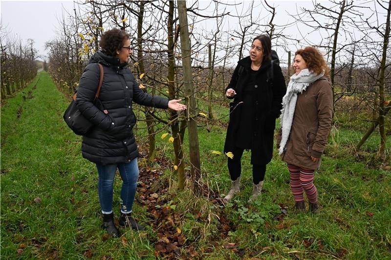 Auf einem Obsthof im Alten Land plant eine Gruppe um Nicole Witthöft, Natalie Harder und Yvonne Mayet eine „Glücksschule“ (von links). Foto: Vasel