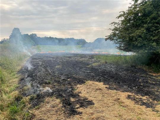 Auf einer Fläche von ungefähr 150 Quadratmetern brannte trockener Grasschnitt. Foto: Feuerwehr Himmelpforten