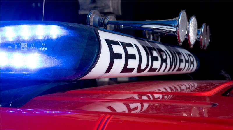 Brand auf Reitanlage - drei Pferde gerettet Auf einer Reitanlage in Tornesch brannte eine kombinierte Gewerbe- und Lagerhalle. (Symbolbild)