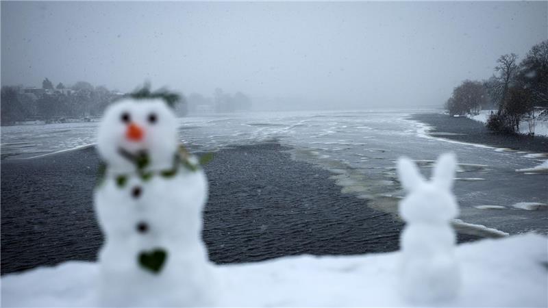Auf einigen Gewässern in Hamburg bildet sich eine dünne Eisschicht. 