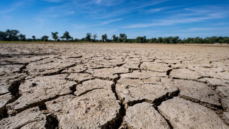 Aufgerissen und ausgetrocknet: Eine Sandbank an der Niedrigwasser führenden Donau im Juli 2022.