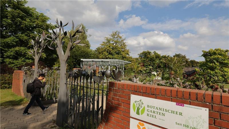 Immer wieder Kakteen-Diebe in Botanischen Gärten im Norden Aufgrund seiner Größe können die Mitarbeiter in Kiel nicht immer den gesamten Botanischen Garten überwachen. (Archivbild)