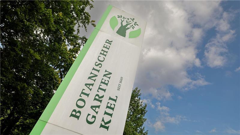 Aufgrund seiner Größe können die Mitarbeiter in Kiel nicht immer den gesamten Botanischen Garten überwachen.  (Archivbild)