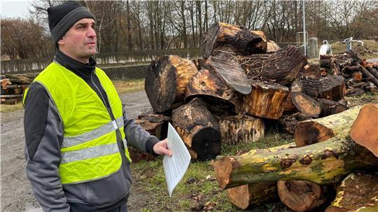 Auktionator Jörn Pöpke (Fachgruppe Straßen und Grünanlagen der Stadt Buxtehude) versteigert das Brennholz in 5-Euro-Schritten. Mindestgebot: 20 Euro.