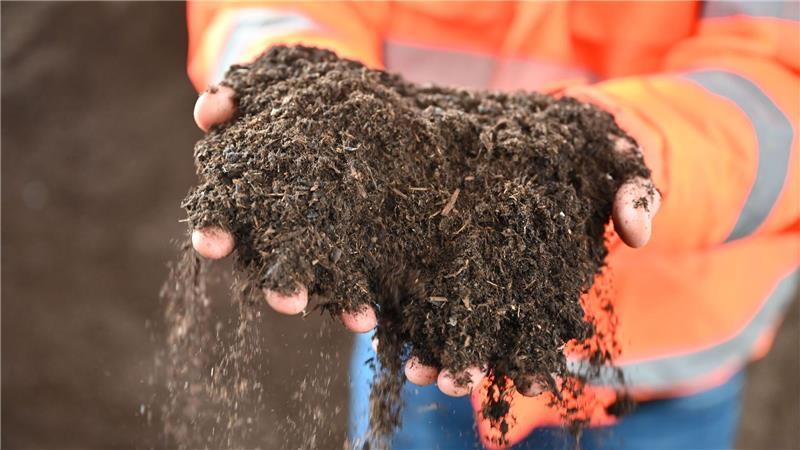 Schleswig-Holsteiner sind fleißige Biomüllsammler Aus Biomüll kann wertvoller Kompost werden. (Symbolbild)