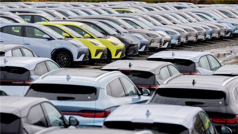 Aus China importierte Elektroautos in Wilhelmshaven. Der Druck der chinesischen Industrie auf ihre deutsche Konkurrenz wächst beständig. (Symbolbild)